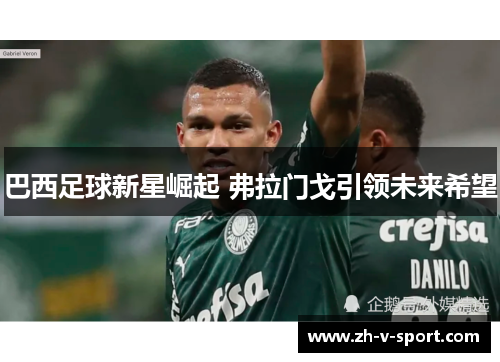 巴西足球新星崛起 弗拉门戈引领未来希望